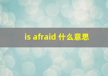 is afraid 什么意思